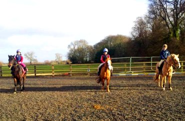 Lime Oaks Riding Centre, Hemingbrough, North Yorkshire