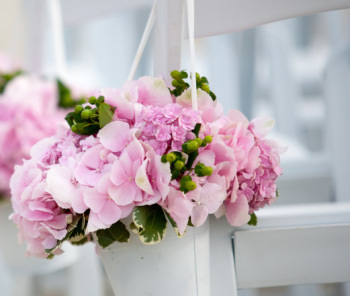 Our Wedding Website