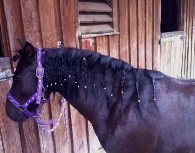 Tots Riding Club - Lime Oaks Riding Centre